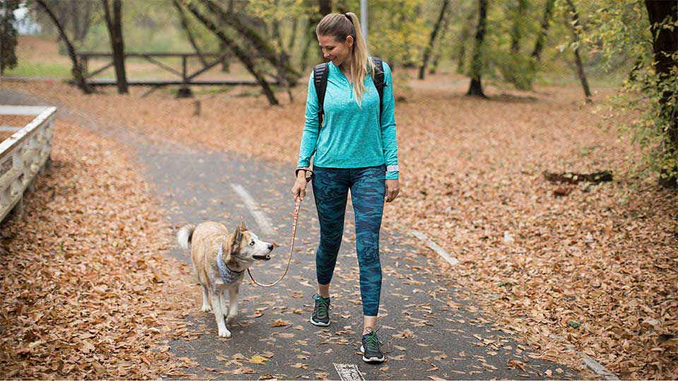 Walking Dog Park