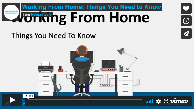 Working From Home: Things You Need To Know
